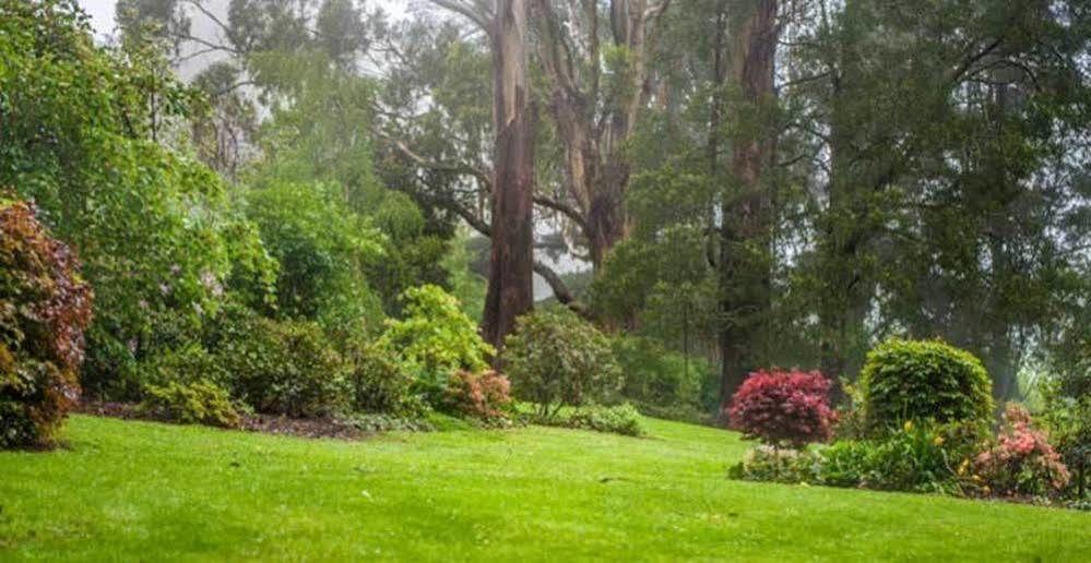 Hostal Beechmont Garden Retreat Olinda Exterior foto