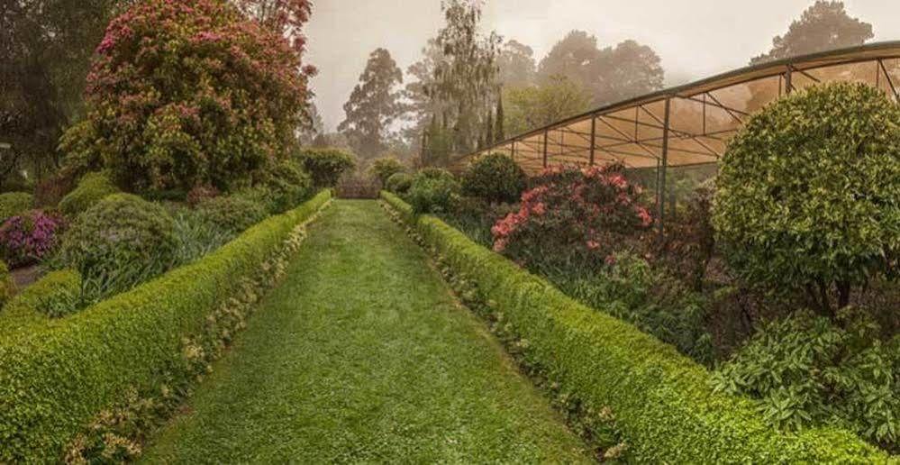 Hostal Beechmont Garden Retreat Olinda Exterior foto